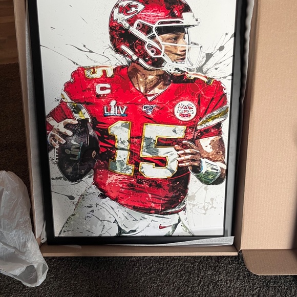 New never been touched been put up safely almost 2 yrs now - Picture 2 of 5